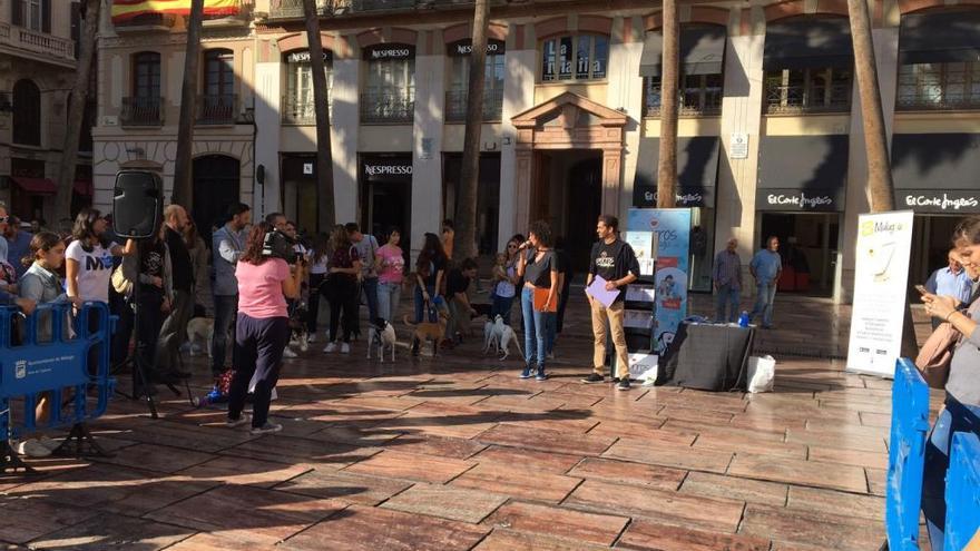 Imagen del acto en la plaza de la Constitución.