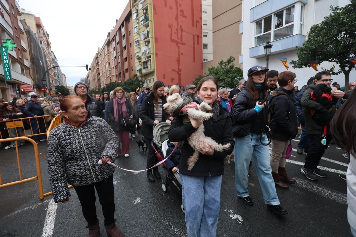 Bendición de animales por Sant Antoni en la calle Sagunt de València