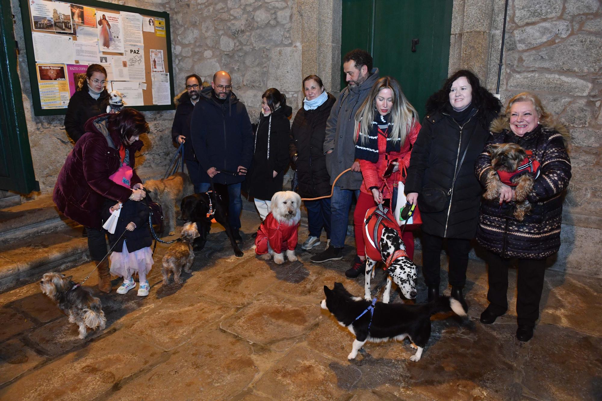 Bendición de mascotas por San Antón en A Coruña