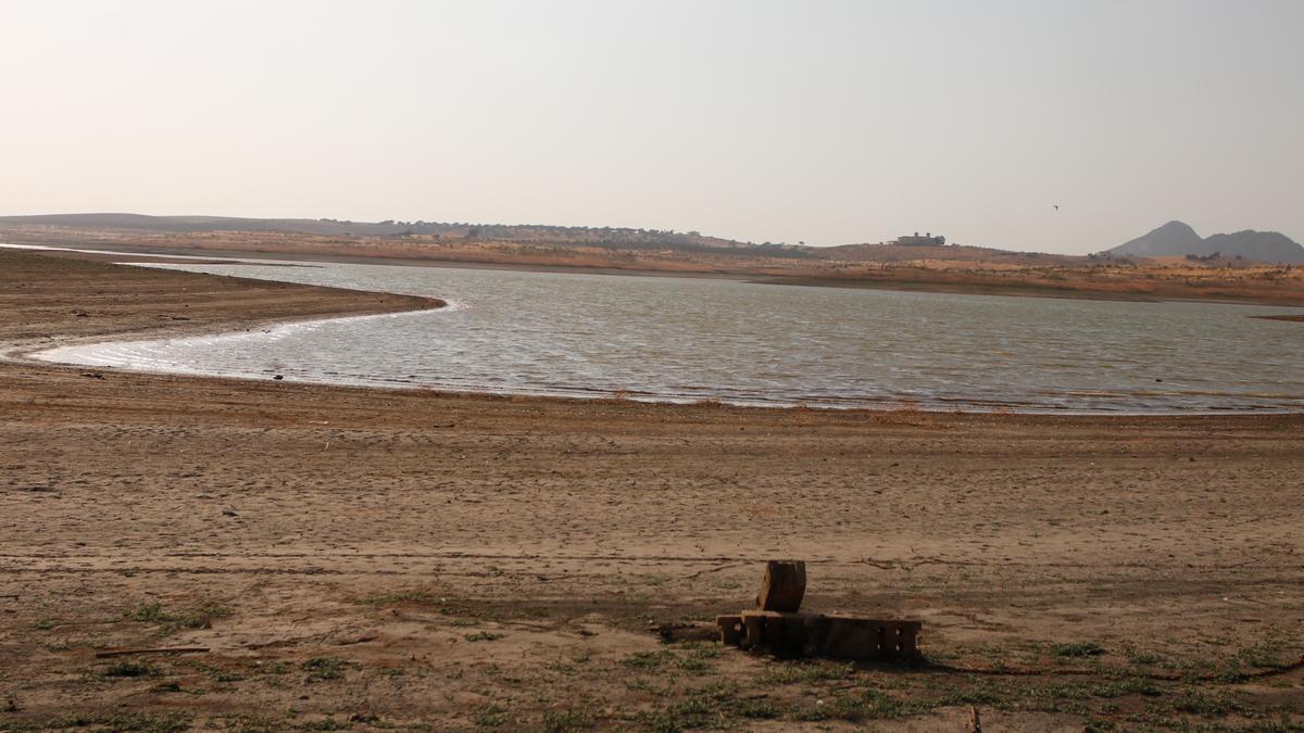 El 9% de los siniestros agrícolas del año pasado tienen que ver con la sequía. En la imagen el pantano de Alange en la actualidad.
