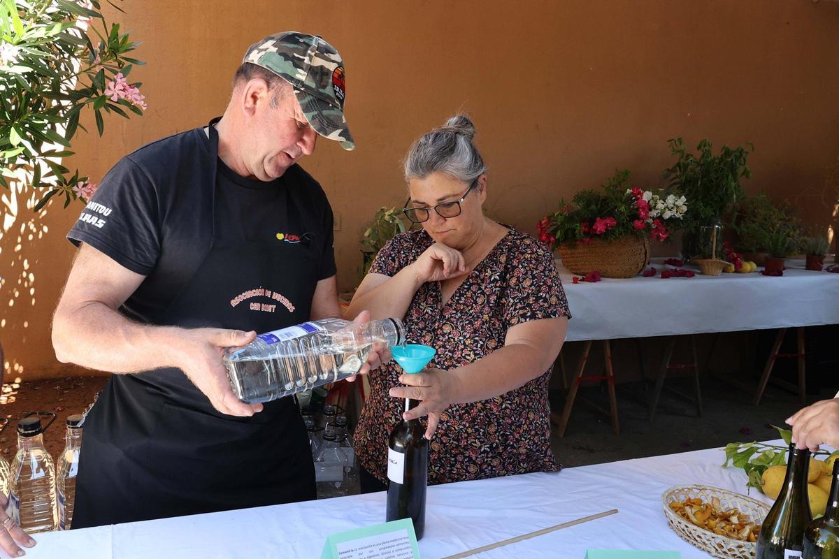 Taller de elaboración de hierbas ibicencas en Can Bonet
