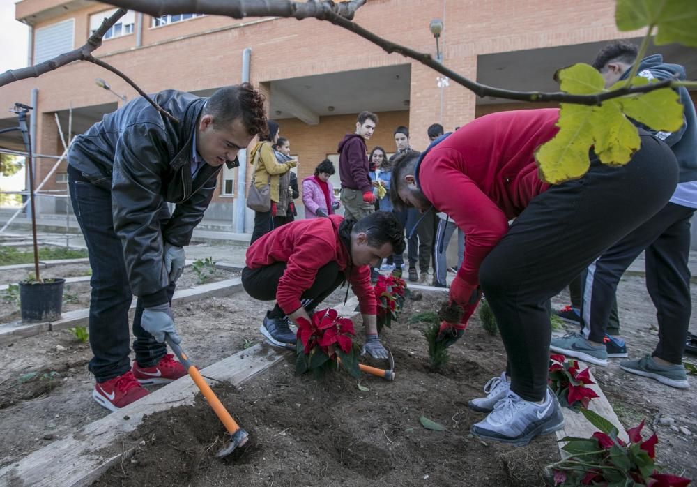 Alumnos con diversidad funcional en Severo Ochoa