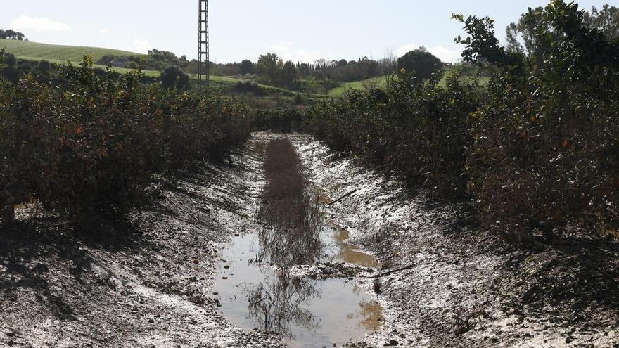 La Junta declara fuerza mayor por el exceso de lluvias y flexibiliza las ayudas de la PAC en Extremadura