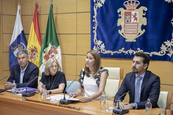 Constitución de Gobierno del Cabildo de Fuerteventura