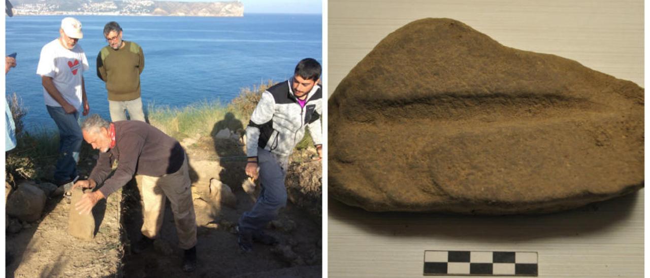 Hallan en el Cap Prim de Xàbia una semilla de hace 4.000 años del trigo más antiguo del mundo