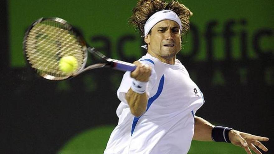 David Ferrer.