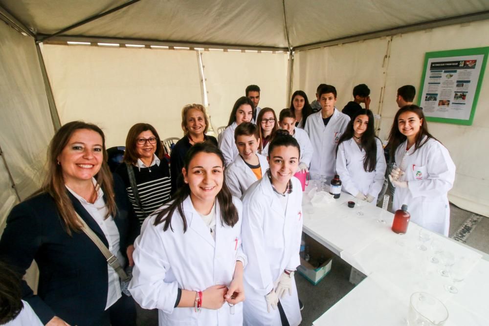 VIII Certamen de Ciencias de la Vega Baja