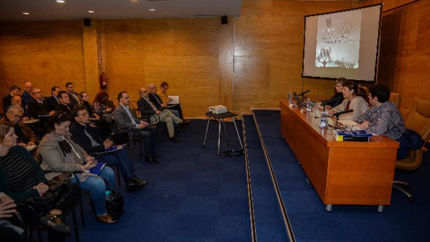 Un momento de la presentación del avance del primer plan estratégico de las áreas industriales de la Isla.