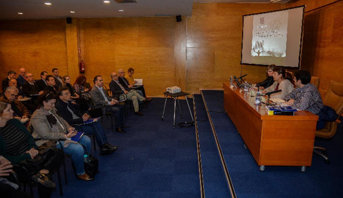Un momento de la presentación del avance del primer plan estratégico de las áreas industriales de la Isla.