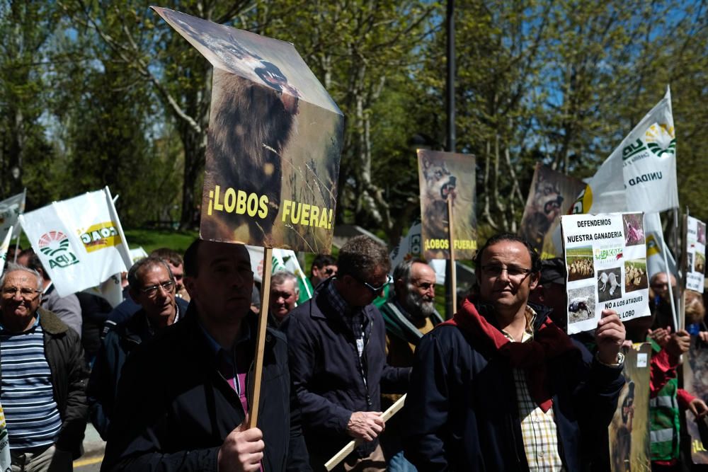 La Alianza se manifiesta en contra del lobo