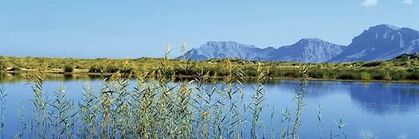 Das Feuchtgebiet s‘Albufera, Mallorca.