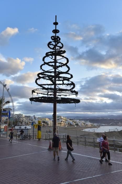 Preparativos para el Belén de arena y el árbol ...