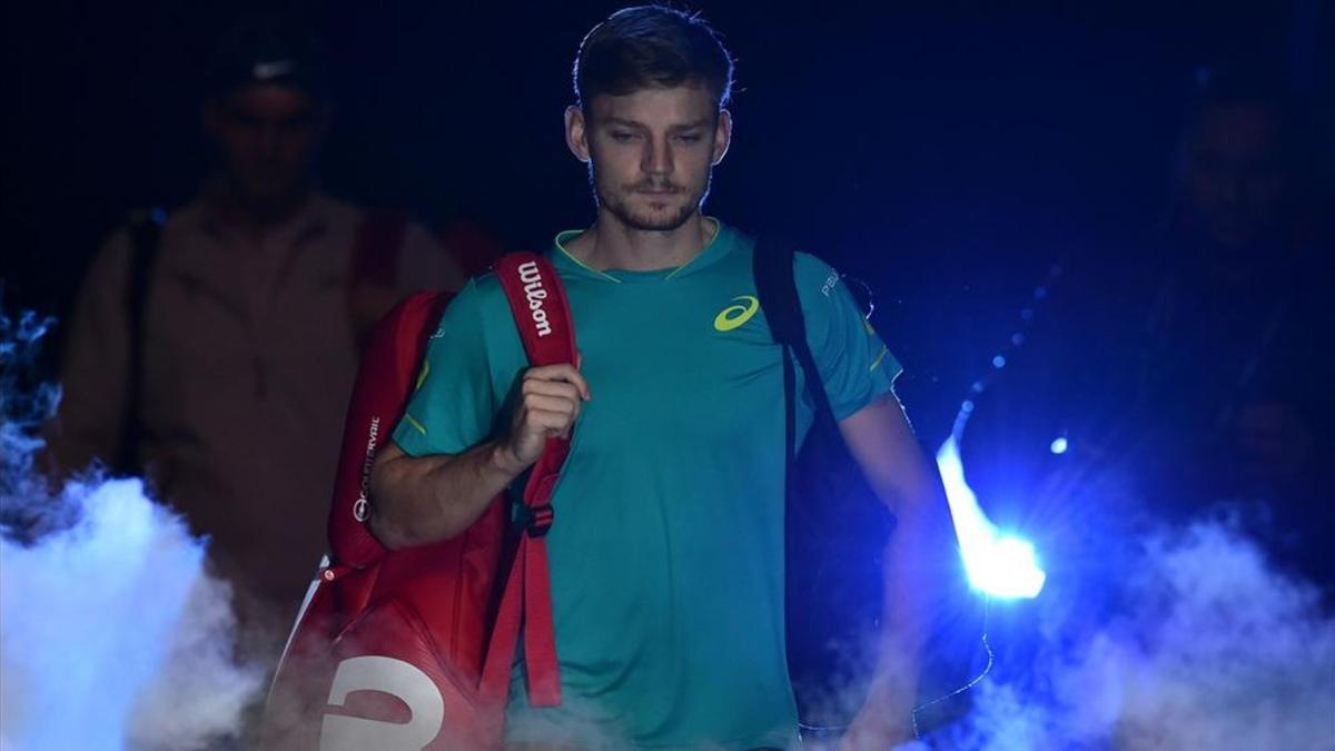 David Goffin