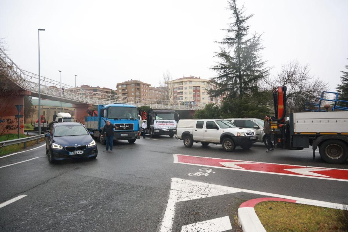 Fotogalería | Imágenes de la tractorada en Cáceres, este miércoles