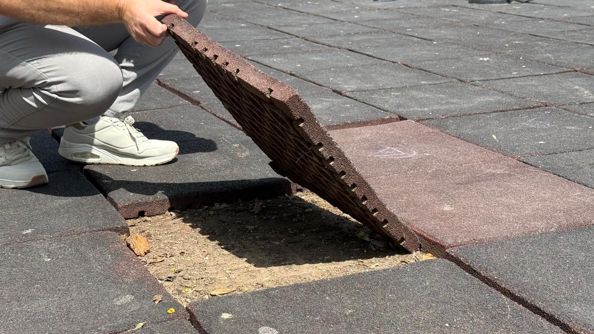 Estado que presenta el suelo de parques infantiles en Elche, según denuncia el PSOE