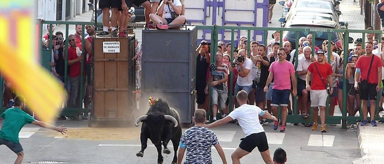 Espectáculo taurino en Canet