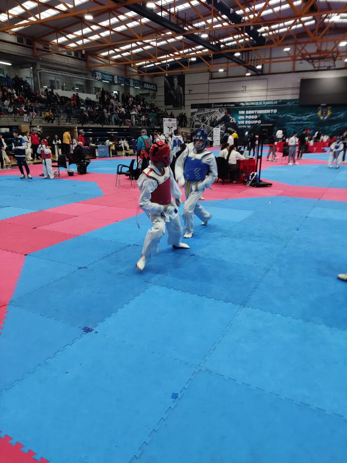 El Campeonato Gallego de Promesas y Veteranos llena O Gatañal de aficionados al taekwondo