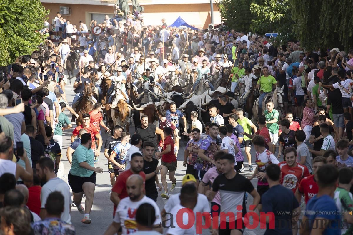 El segundo encierro de las Fiestas de Moratalla se salda con un herido