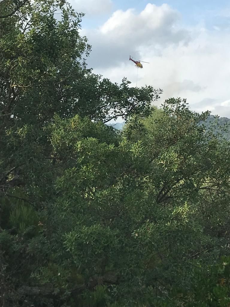 Un incendi crema una casa al cor de les Gavarres