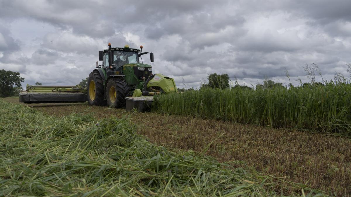 Un tractor siega un campo.