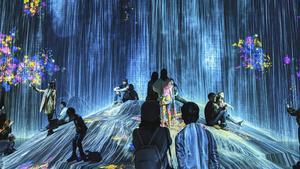 Arte inmersvo teamLab