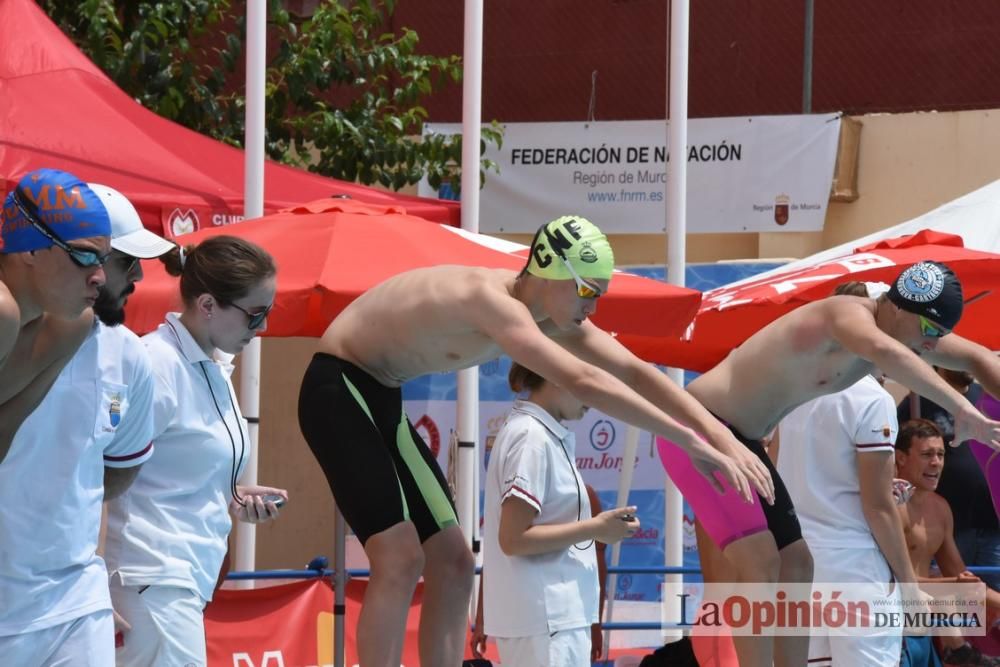 Final del Campeonato regional de natación.