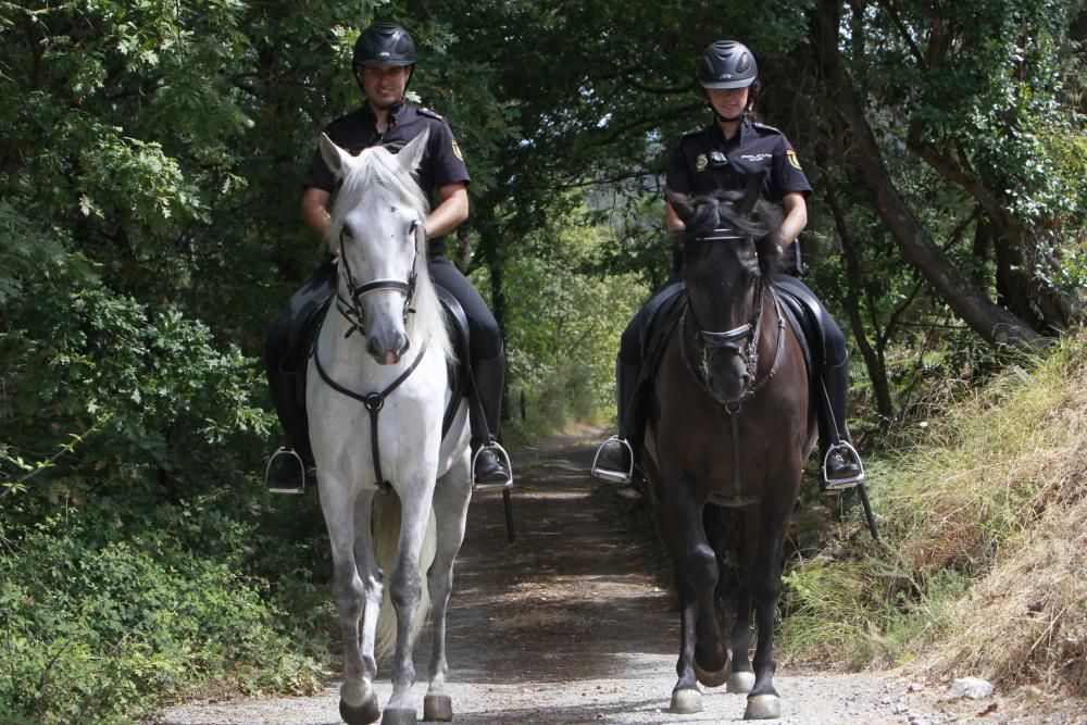 Vigilancia a caballo contra el fuego