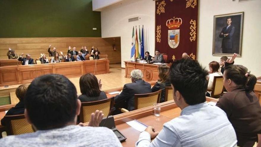 Un instante del pleno celebrado ayer en Torremolinos.