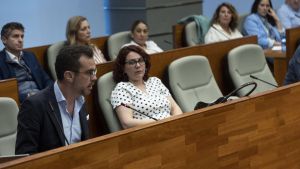 Alonso del Real, durante su intervención en el pleno de Torrent