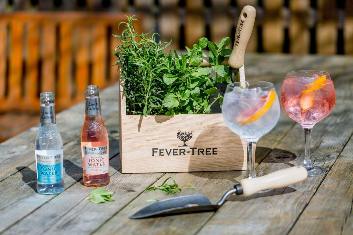 fever tree