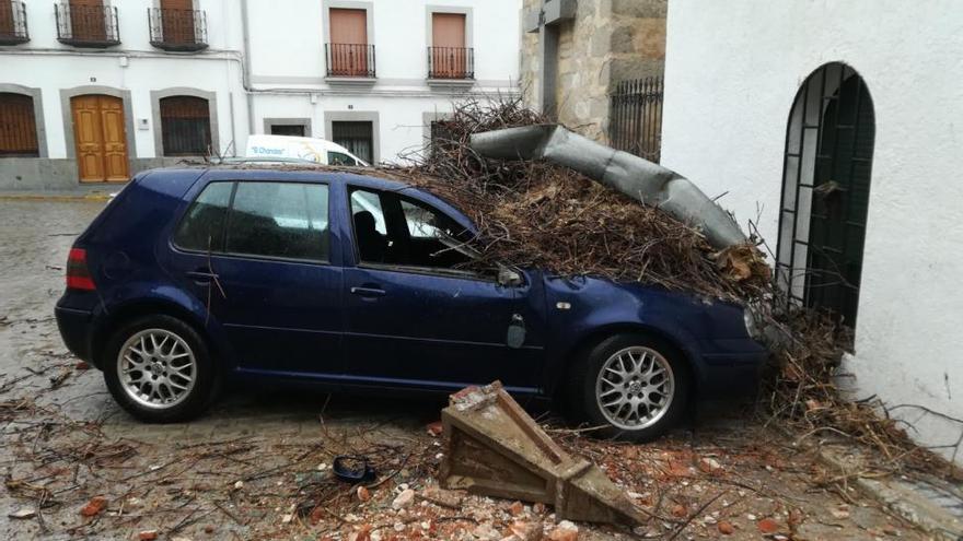 La caída de un nido de cigüeña provoca serios daños a un coche en El Viso