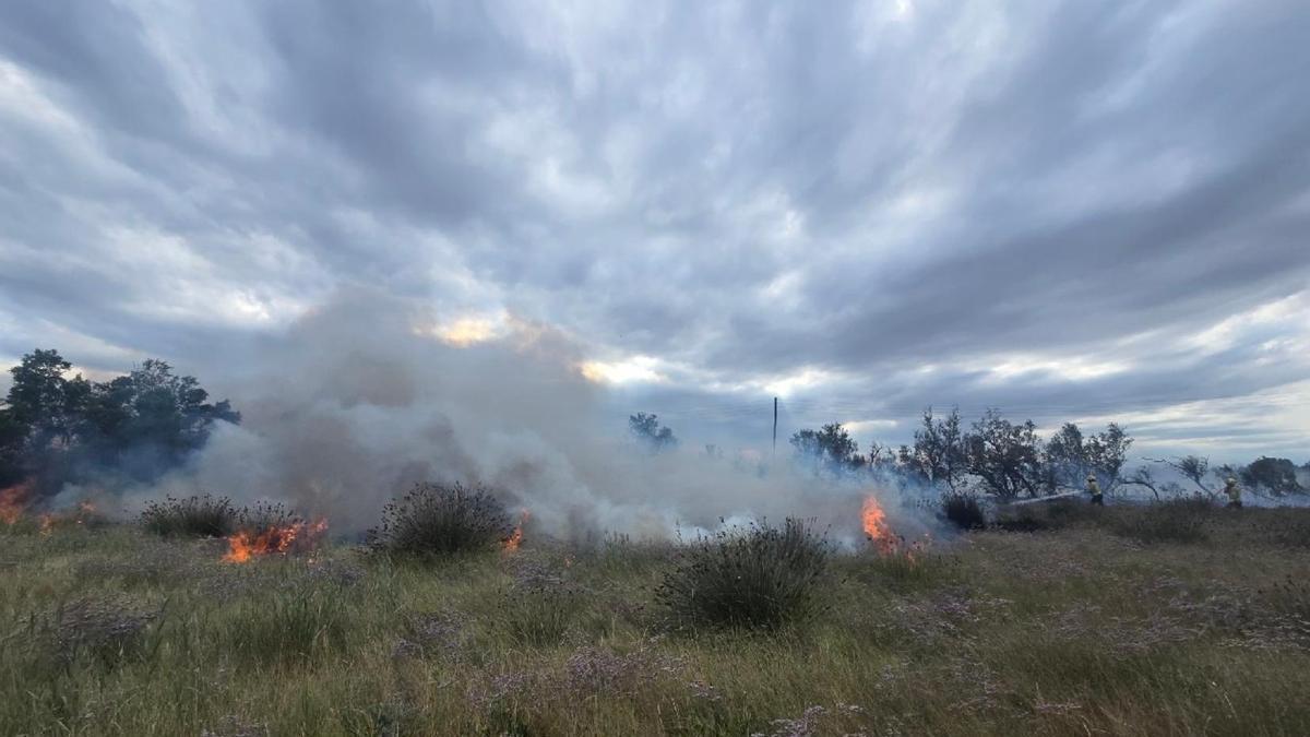 L'incendi de vegetació a les afores del càmping