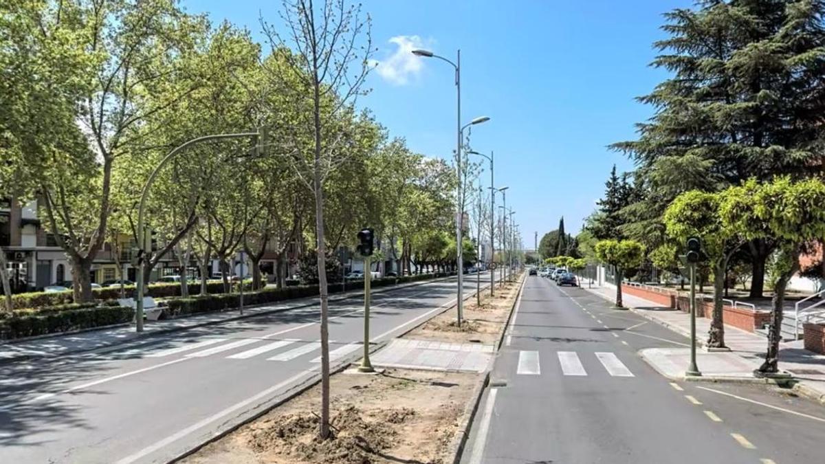 Avenida Alonso Marín, donde ha tenido lugar el atropello.