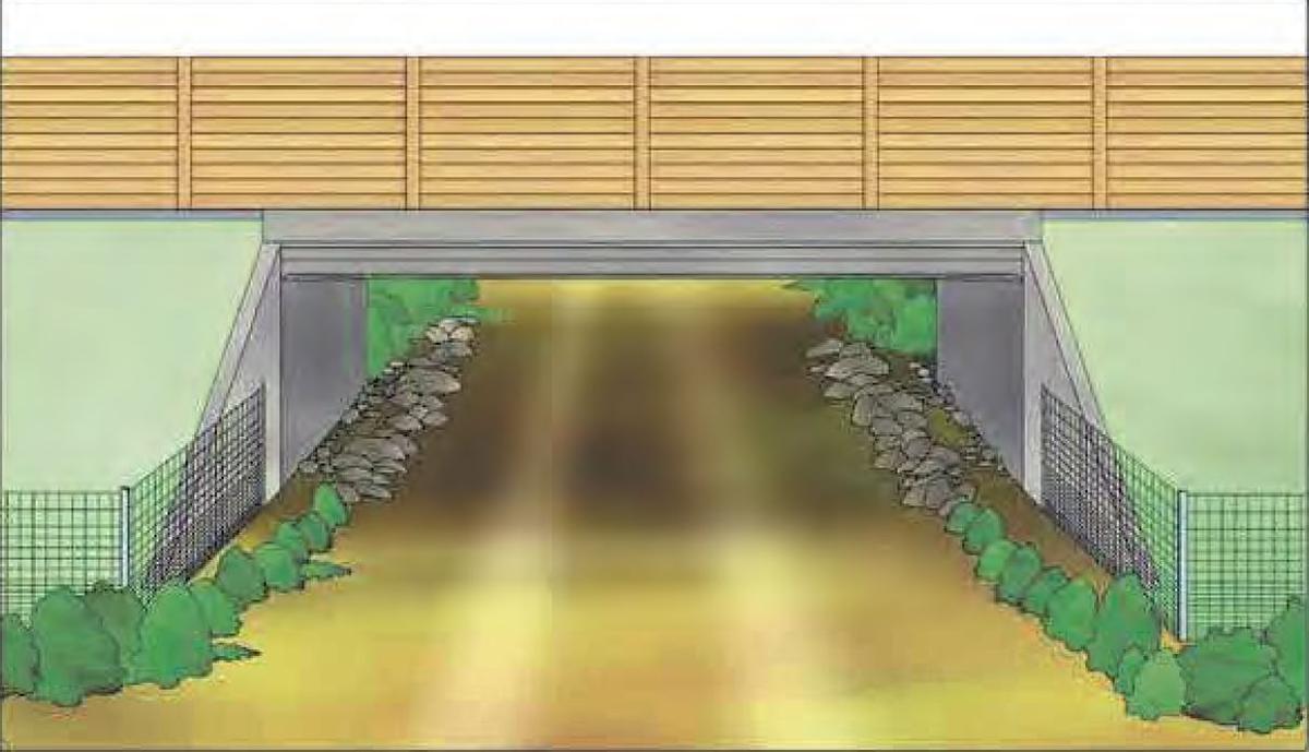 Figuración de un paso ecológico inferior.