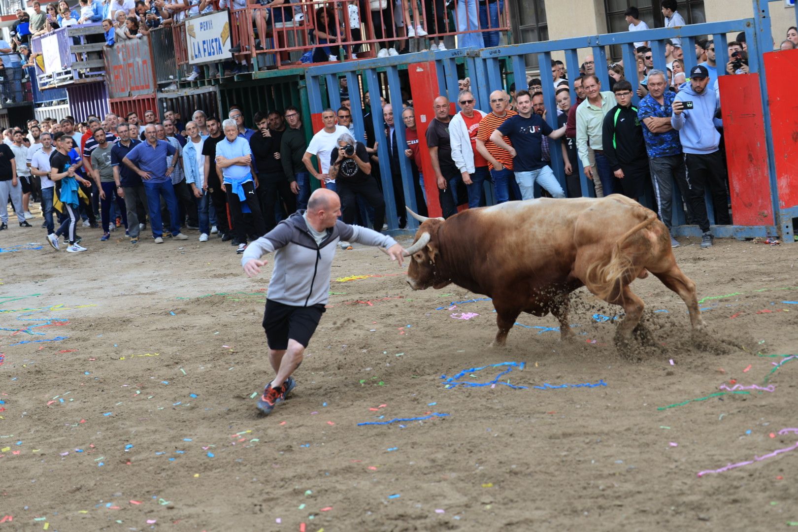 Fotos de la tarde taurina del jueves de las fiestas de Sant Pasqual en Vila-real