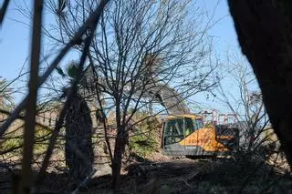 Empieza la gran transformación de la playa de l'Auir