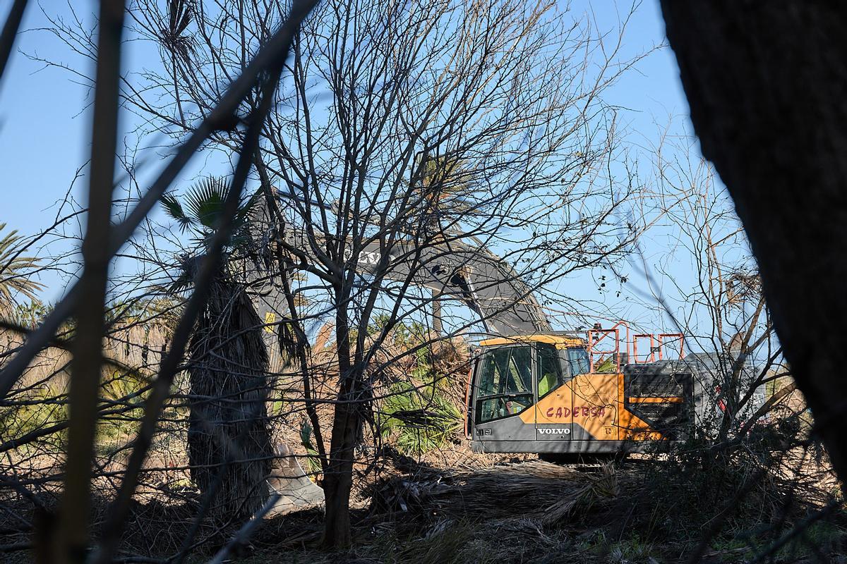 Los trabajos los realiza la empresa Tragsa, que para algunas actuaciones ha subcontratado con Cadersa.
