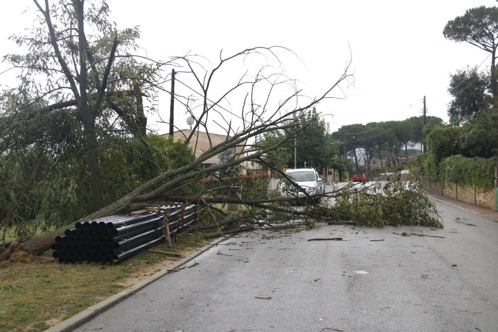 Imatges de les afectacions pel temporal a Cataluny