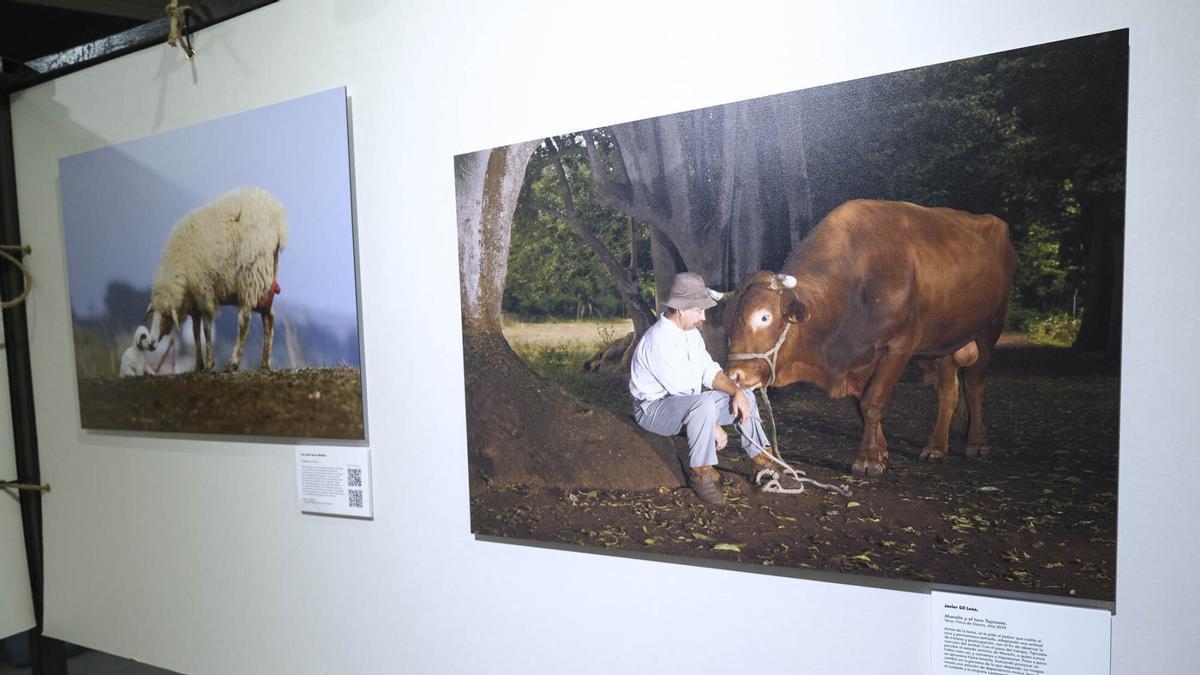 Exposición Mujer Rural
