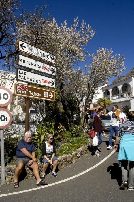 Fiestas del Almendro en Flor en Tejeda