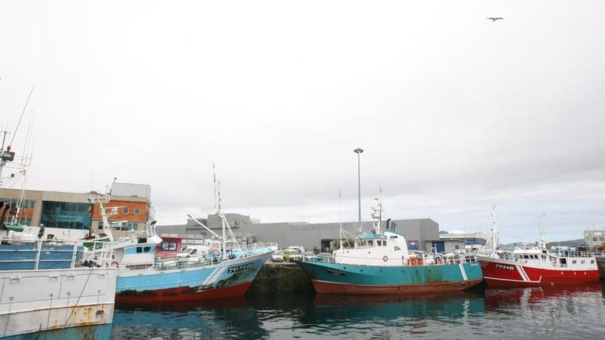 Flota de palangre de superficie, en el puerto pesquero de Vigo.