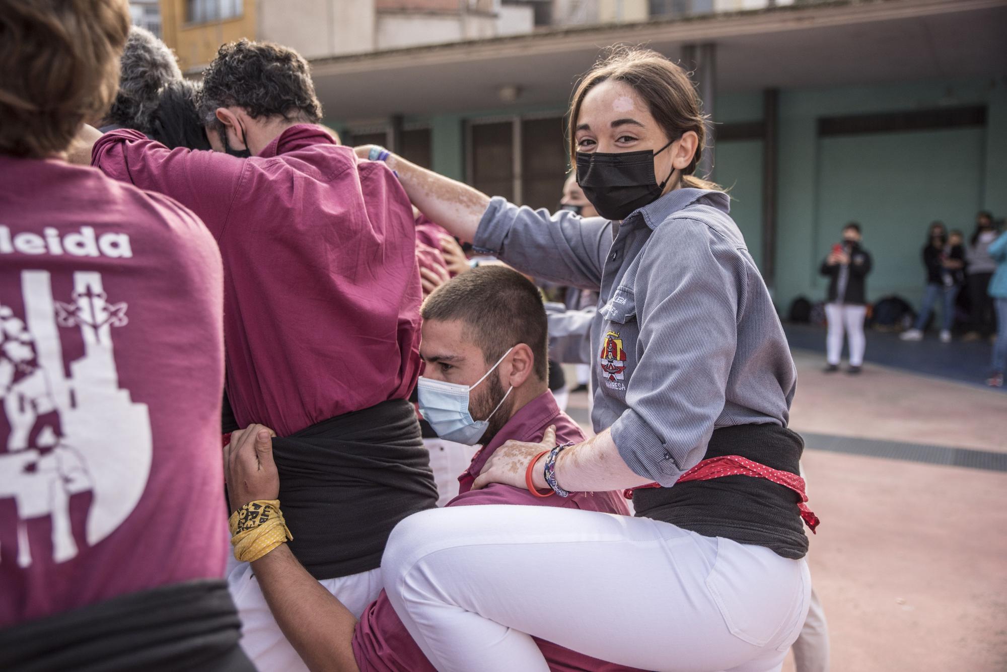 Pinyes compartides a la Porxada de Manresa