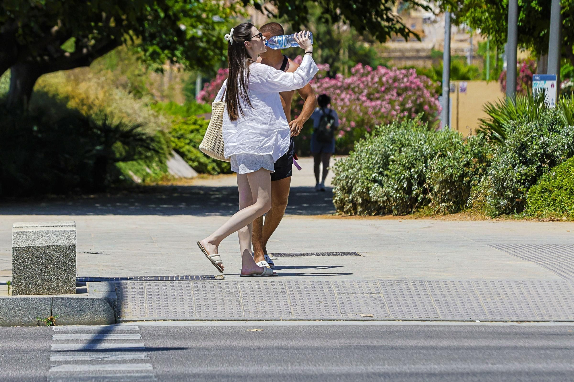 Ola de calor en Mallorca
