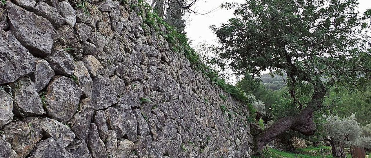 Acto del 10º aniversario de la Serra de Tramuntana como Patrimonio de la Humanidad