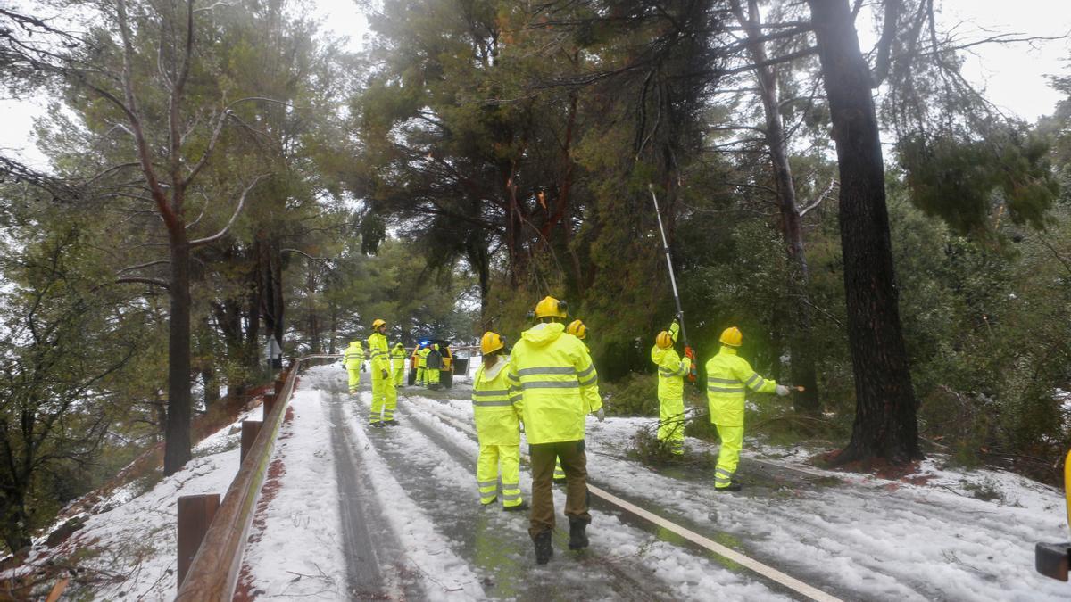 Operarios trabajan en una carretera de la Serra de Tramuntana