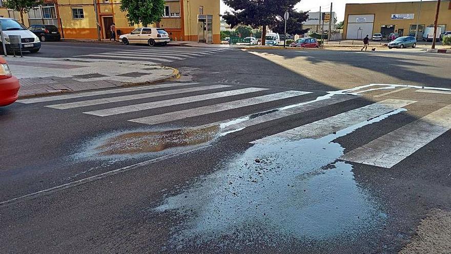 Nuevas Generaciones denuncia los vertidos de la recogida de la basura en Benavente