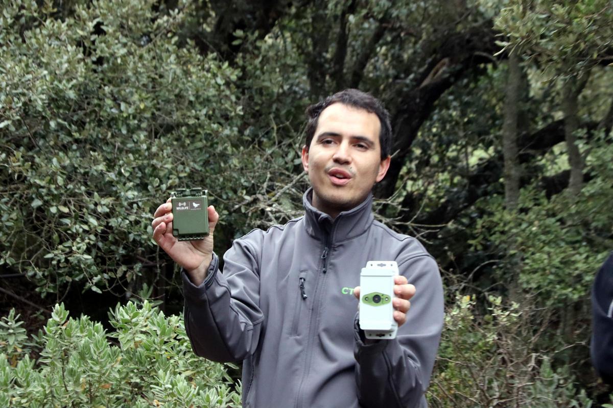 Tecnologia per fer seguiment de l'activitat dels ratpenats a les coves