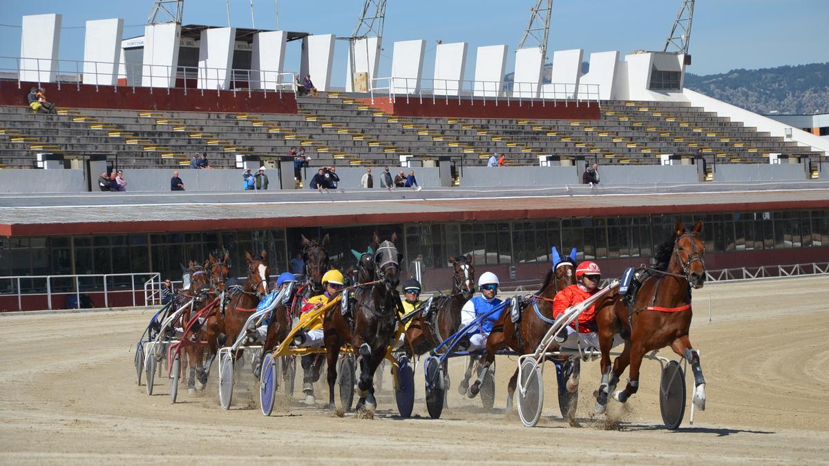 Imagen de una carrera de este pasado verano en Son Pardo