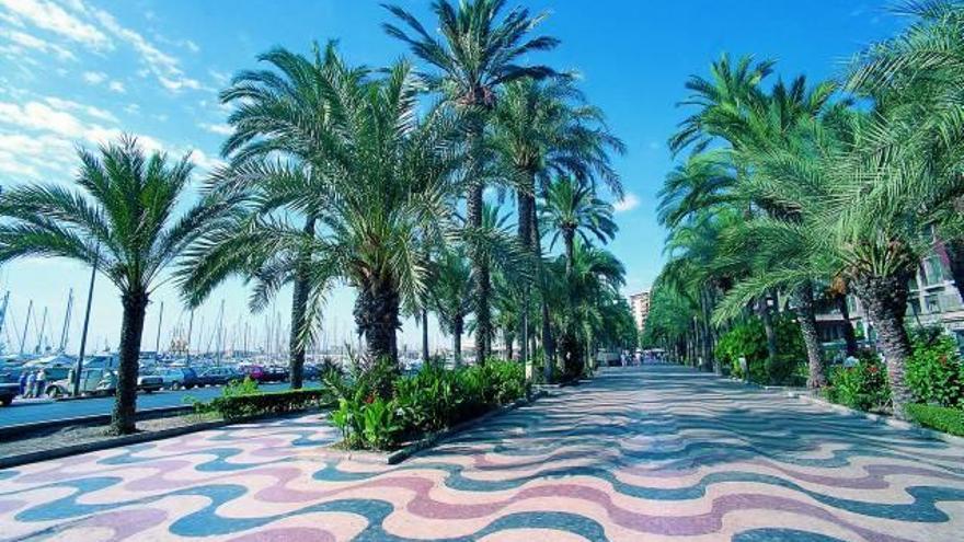 Esplanada d&#039;Alacant, un lloc emblemàtic de la ciutat.