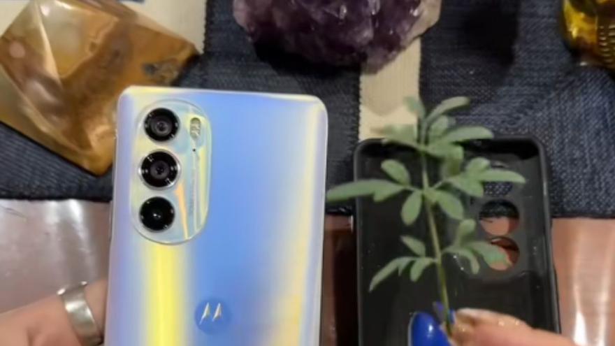 Una rama de rueda en la carcasa del móvil: el truco que hace cada vez más gente